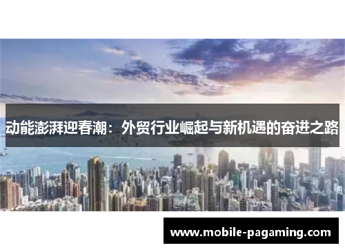 动能澎湃迎春潮:外贸行业崛起与新机遇的奋进之路 动能澎湃迎春潮:外贸行业崛起与新机遇的奋进之路