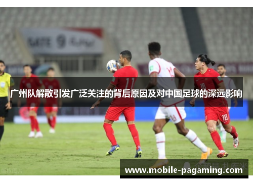广州队解散引发广泛关注的背后原因及对中国足球的深远影响 广州队解散引发广泛关注的背后原因及对中国足球的深远影响