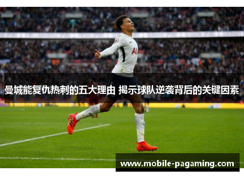 曼城能复仇热刺的五大理由 揭示球队逆袭背后的关键因素 曼城能复仇热刺的五大理由 揭示球队逆袭背后的关键因素