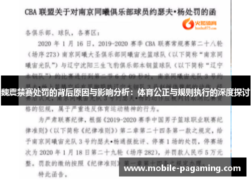 魏震禁赛处罚的背后原因与影响分析：体育公正与规则执行的深度探讨