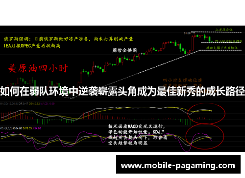 如何在弱队环境中逆袭崭露头角成为最佳新秀的成长路径