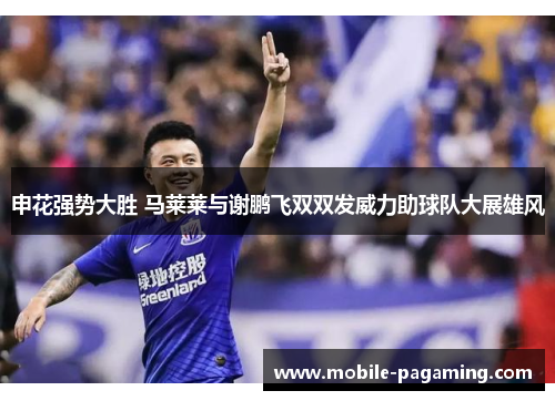 申花强势大胜 马莱莱与谢鹏飞双双发威力助球队大展雄风