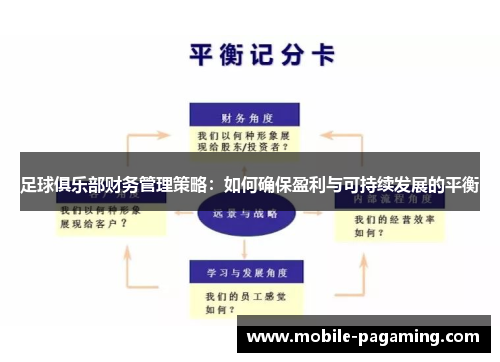 足球俱乐部财务管理策略：如何确保盈利与可持续发展的平衡
