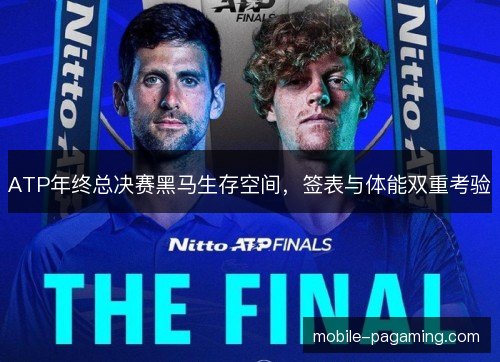 ATP年终总决赛黑马生存空间，签表与体能双重考验